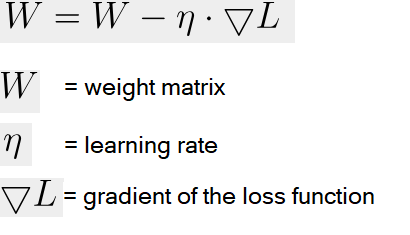 Stochastic Gradient Descent